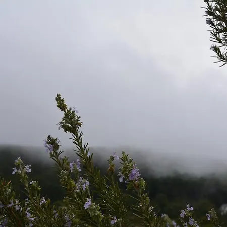Casa La Peguera La Parra (Castile and Leon)