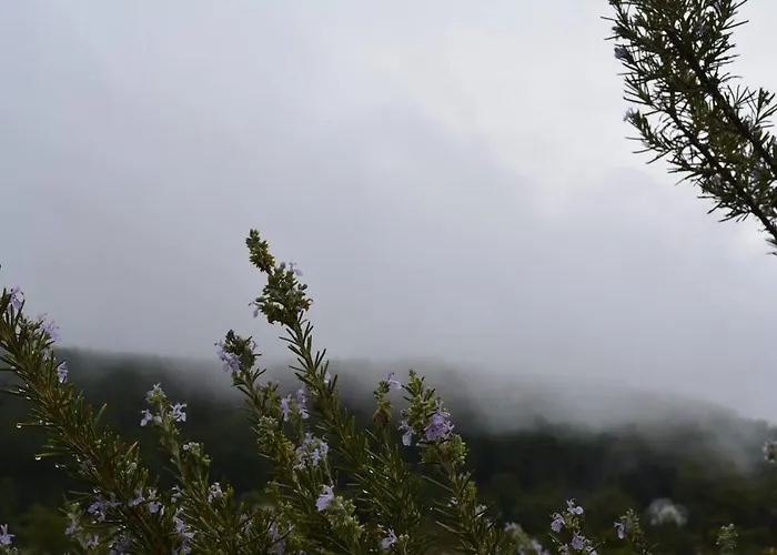 Casa La Peguera La Parra (Castile and Leon)